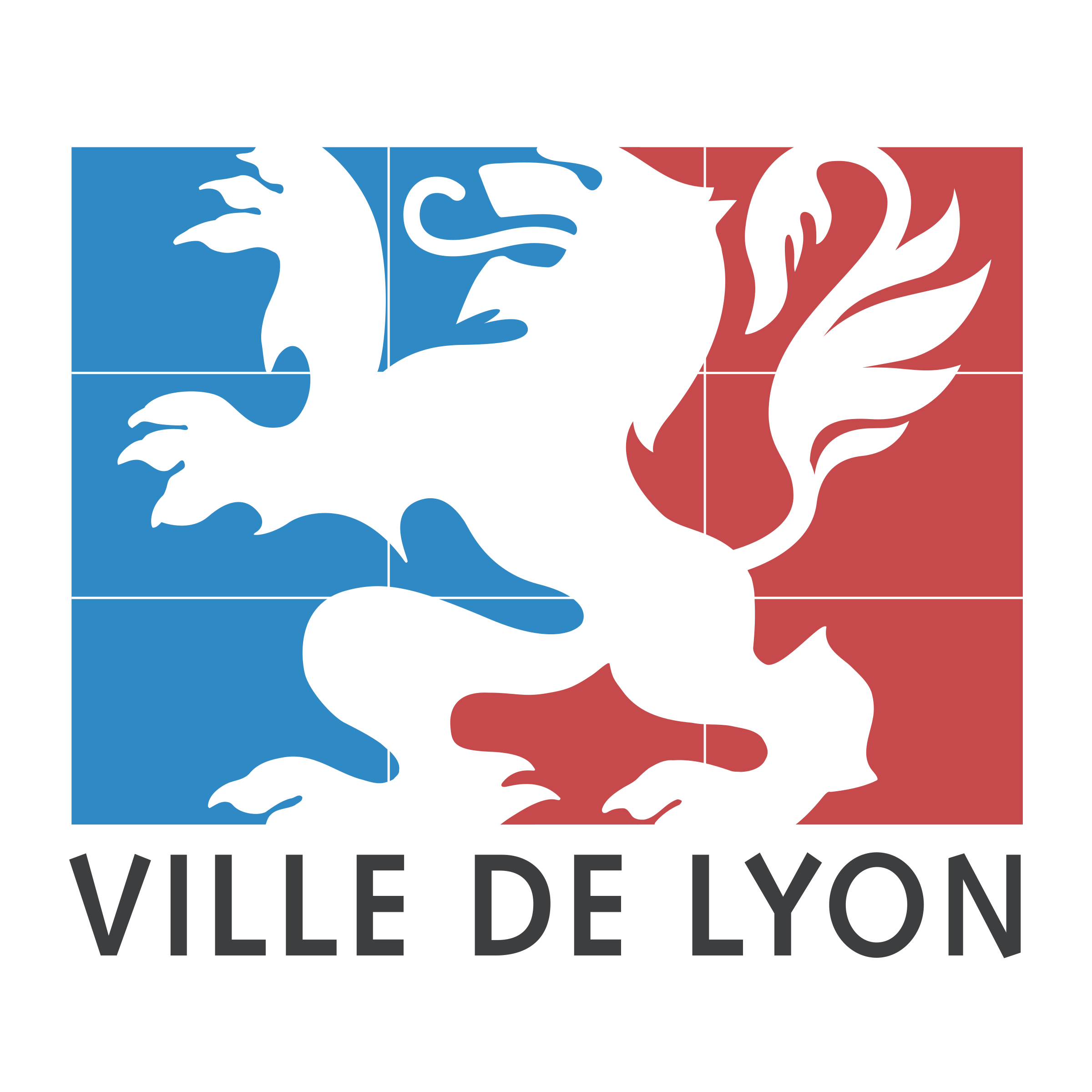 Logo de notre sponsor Ville de Lyon